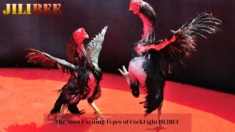 bingo register what does bet mean in hebrew